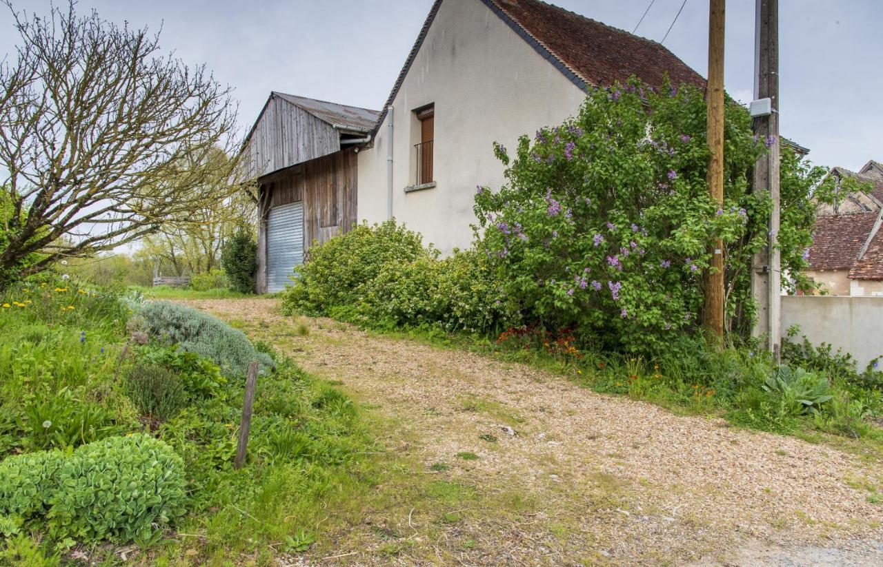 Le Beverly A 9 Min De Beauval Châteauvieux 외부 사진